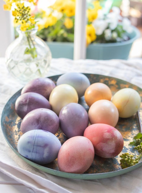 Früchtebiskuitkuchen mit Blaubeersoße - naschenmitdererdbeerqueen.de