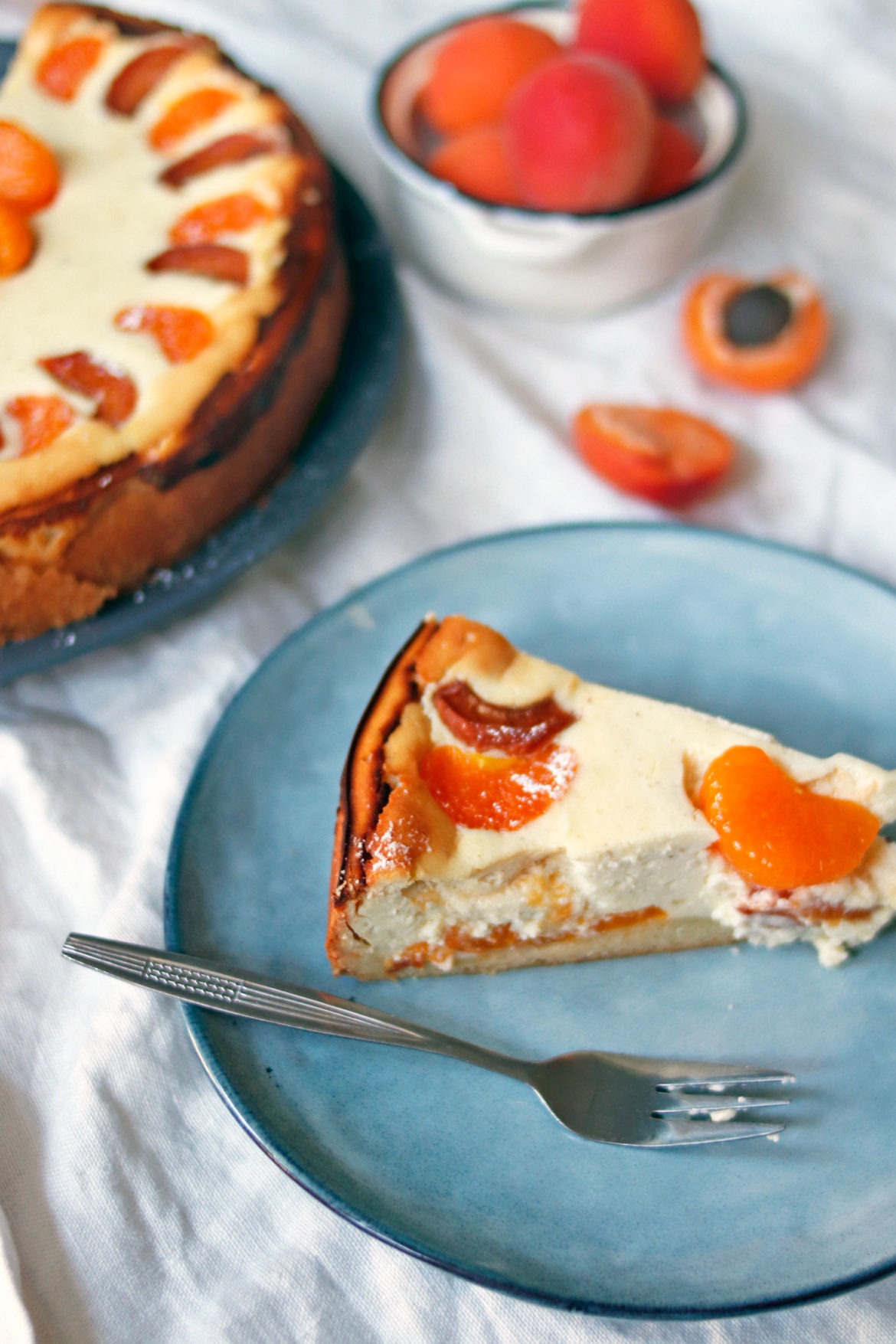 Rezept-Käsekuchen-mit-Mandarinen-und-Aprikosen Rezept für einen saftigen Käsekuchen mit Mandarinen und Aprikosen. Saftiger Käsekuchen mit Früchten und Mürbteig. #käsekuchen